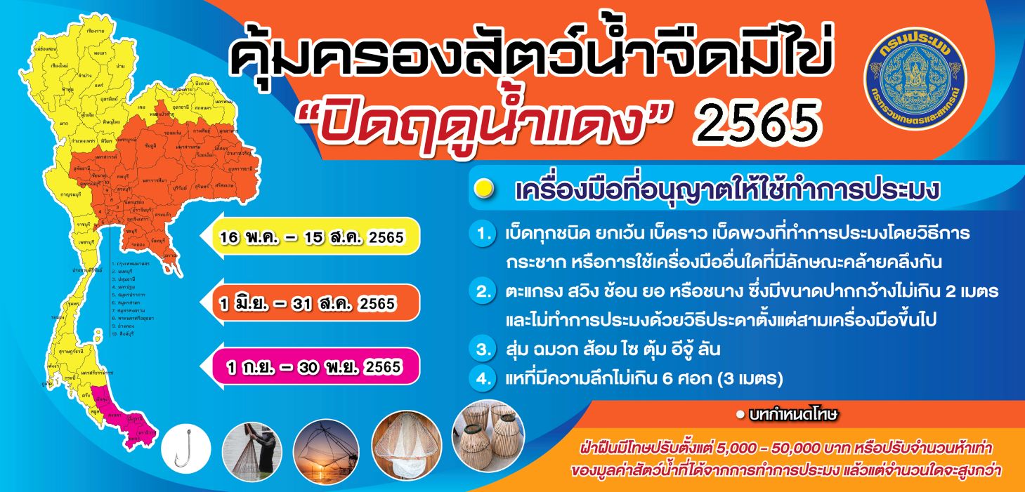 น้ำแดง 2565..คลิก