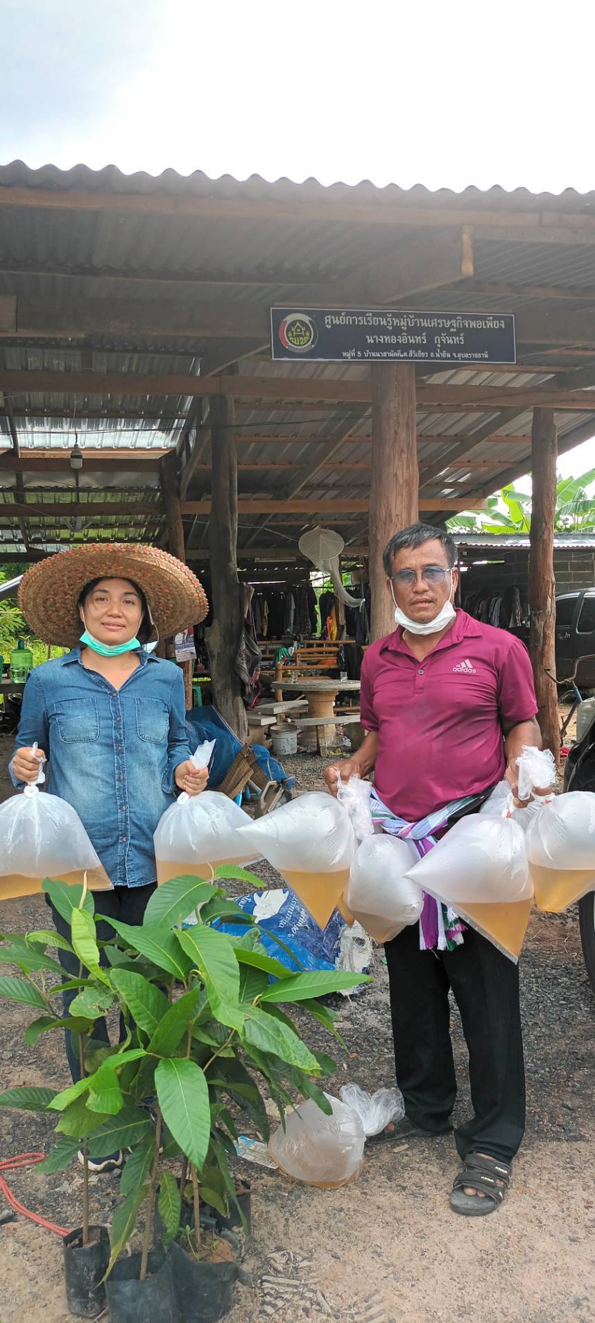 ประมงอำเภอน้ำยืนมอบพันธุ์กุ้งก้ามกราม  อำเภอน้ำยืน อำเภอน้ำขุ่น ตามโครงการบริหารจัดการทรัพยากรประมง ประจำปีงบประมาณ 2565..คลิก