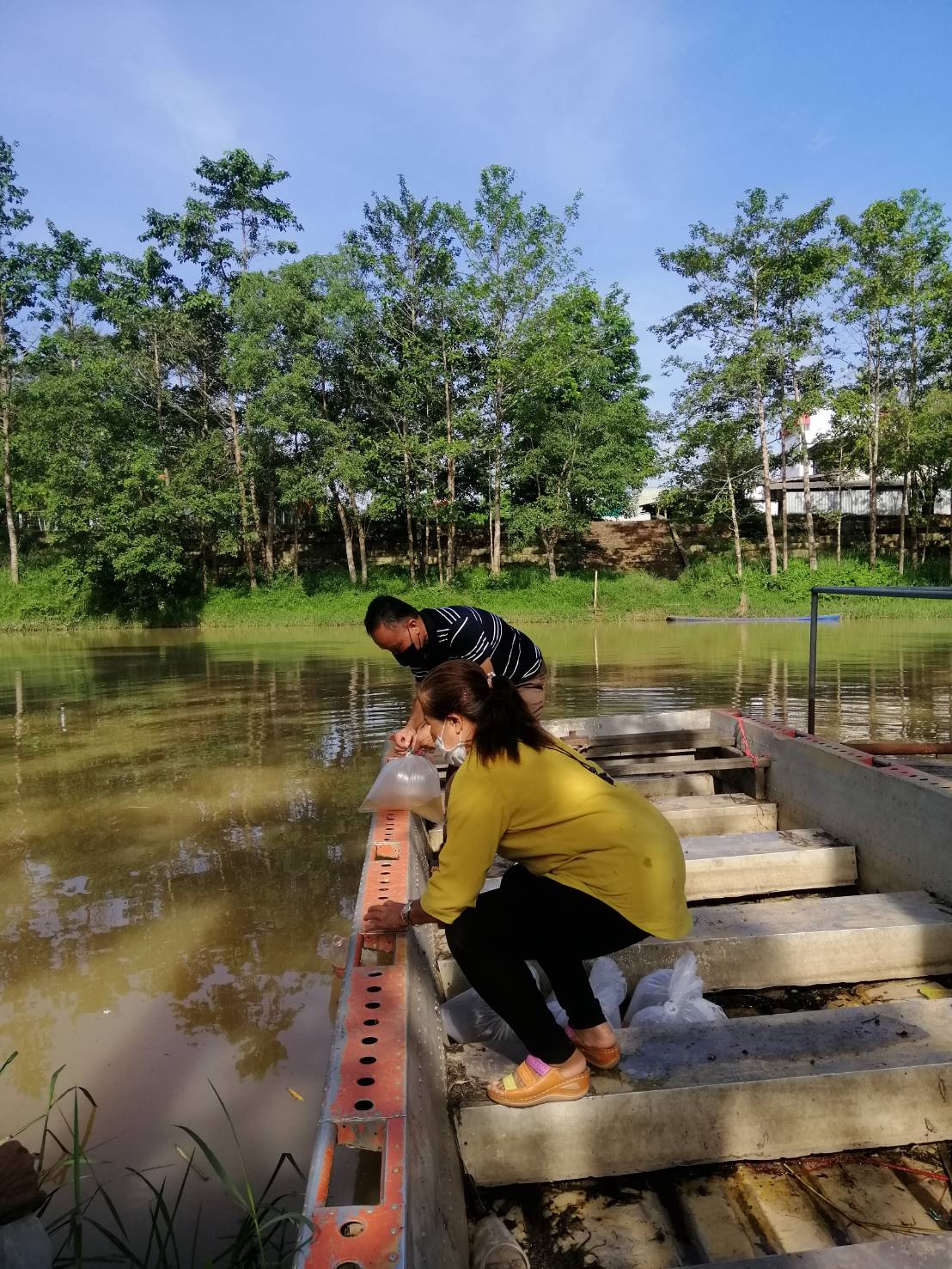 ประมงอำเภอนาจะหลวย ร่วมกับเทศบาลตำบลบัวงาม อำเภอบุณฑริก และประชาชนในพื้นที่ ร่วมกันปล่อยพันธุ์กุ้งก้ามกราม จำนวนทั้งสิ้น 200,000 ตัว ลงในลำโดม..คลิก