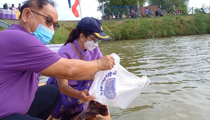 ปล่อยพันธุ์สัตว์น้ำ จำนวน 100,000 ตัว เพื่อถวายเป็นพระราชกุศล เนื่องในโอกาสวันเฉลิมพระชนมพรรษา 44 พรรษา สมเด็จพระนางเจ้าสุทิดา พัชรสุธาพิมลลักษณ พระบรมราชินี..คลิก