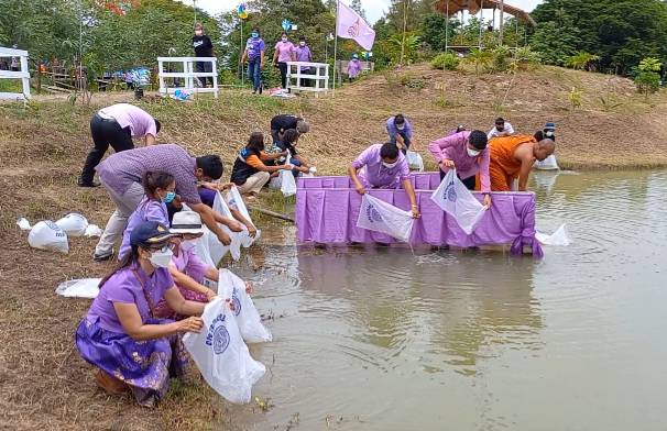 ปล่อยพันธุ์สัตว์น้ำ จำนวน 20,000 ตัว และปลูกต้นไม้ เพื่อถวายเป็นพระราชกุศล เนื่องในโอกาสวันเฉลิมพระชนมพรรษา 44 พรรษา สมเด็จพระนางเจ้าสุทิดา พัชรสุธาพิมลลักษณ พระบรมราชินี..คลิก
