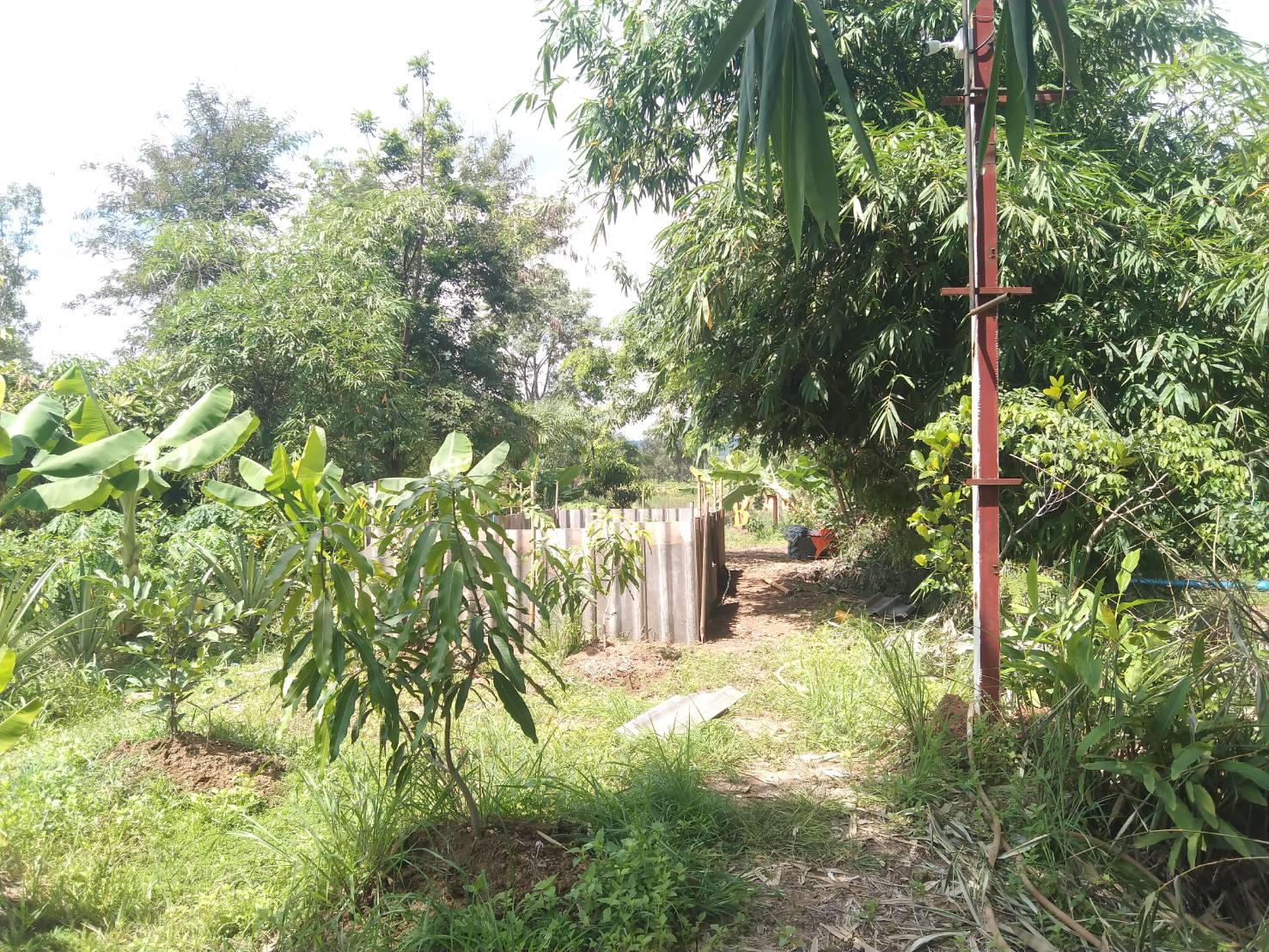 สำนักงานประมงอำเภอน้ำยืน  ตรวจเยี่ยม ศพก.หลัก และ ศพก.เครือข่ายด้านประมง ในเขตอำเภอน้ำยืน จ.อุบลราชธานี..คลิก
