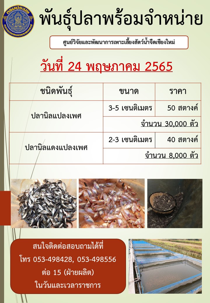 พันธุ์ปลาพร้อมจำหน่าย วันที่ 24 พฤษภาคม 2565..คลิก