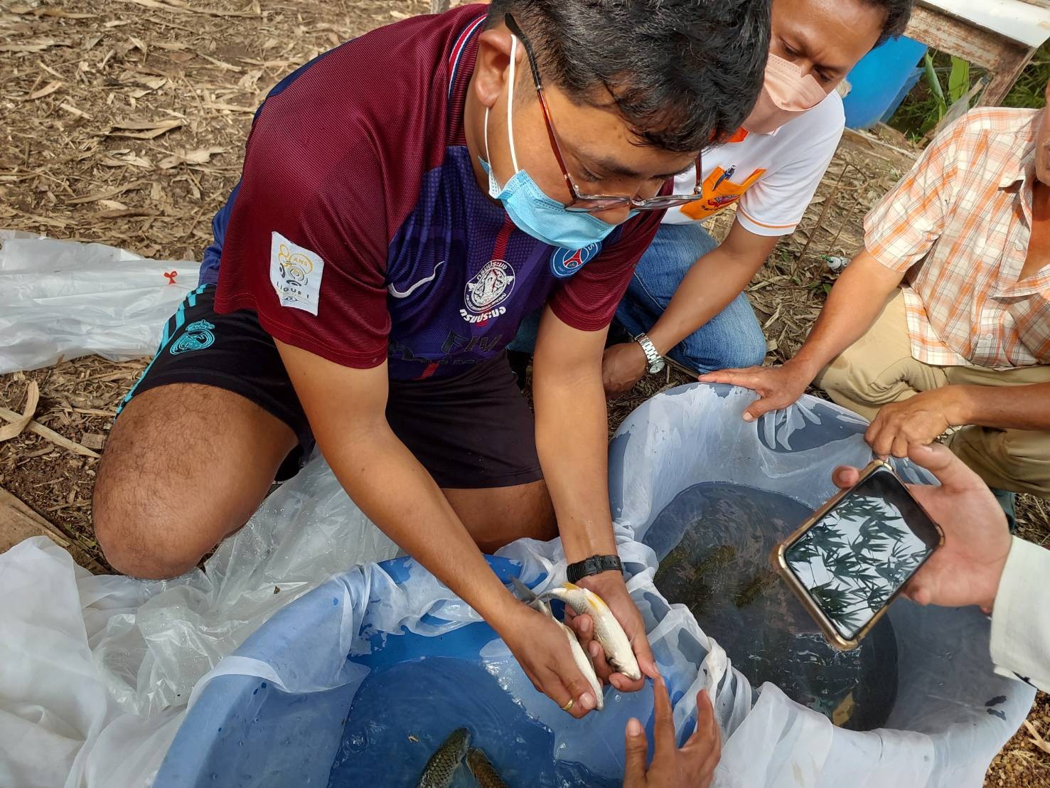 การเพาะพันธุ์ปลาตะเพียนขาว (โครงการธนาคารสินค้าเกษตร)