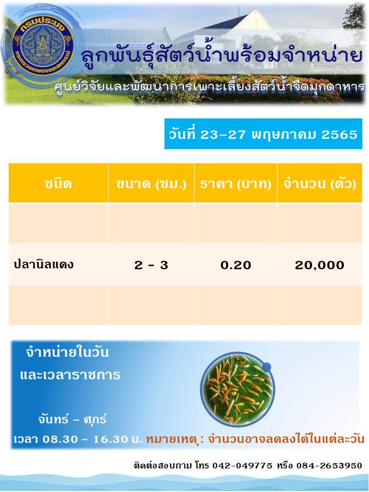 ลูกพันธุ์สัตว์น้ำพร้อมจำหน่าย..คลิก