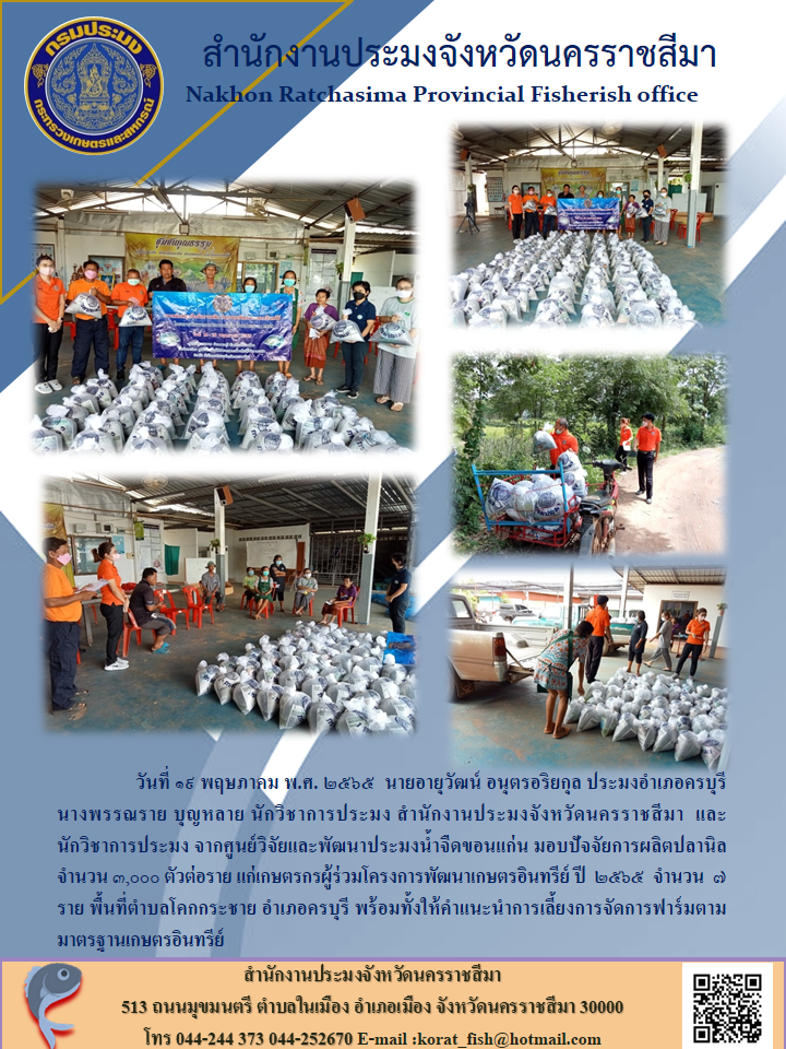 ประมงอำเภอครบุรี นักวิชาการประมง และนักวิชาการประมง จากศูนย์วิจัยและพัฒนาประมงน้ำจืดขอนแก่น มอบปัจจัยการผลิตปลานิลจำนวน 3,000 ตัวต่อราย แก่เกษตรกรผู้ร่วมโครงการพัฒนาเกษตรอินทรีย์ปี 2565..คลิก