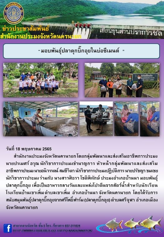 มอบพันธุ์ปลาดุกบิ๊กอุยในบ่อซีเมนต์..คลิก