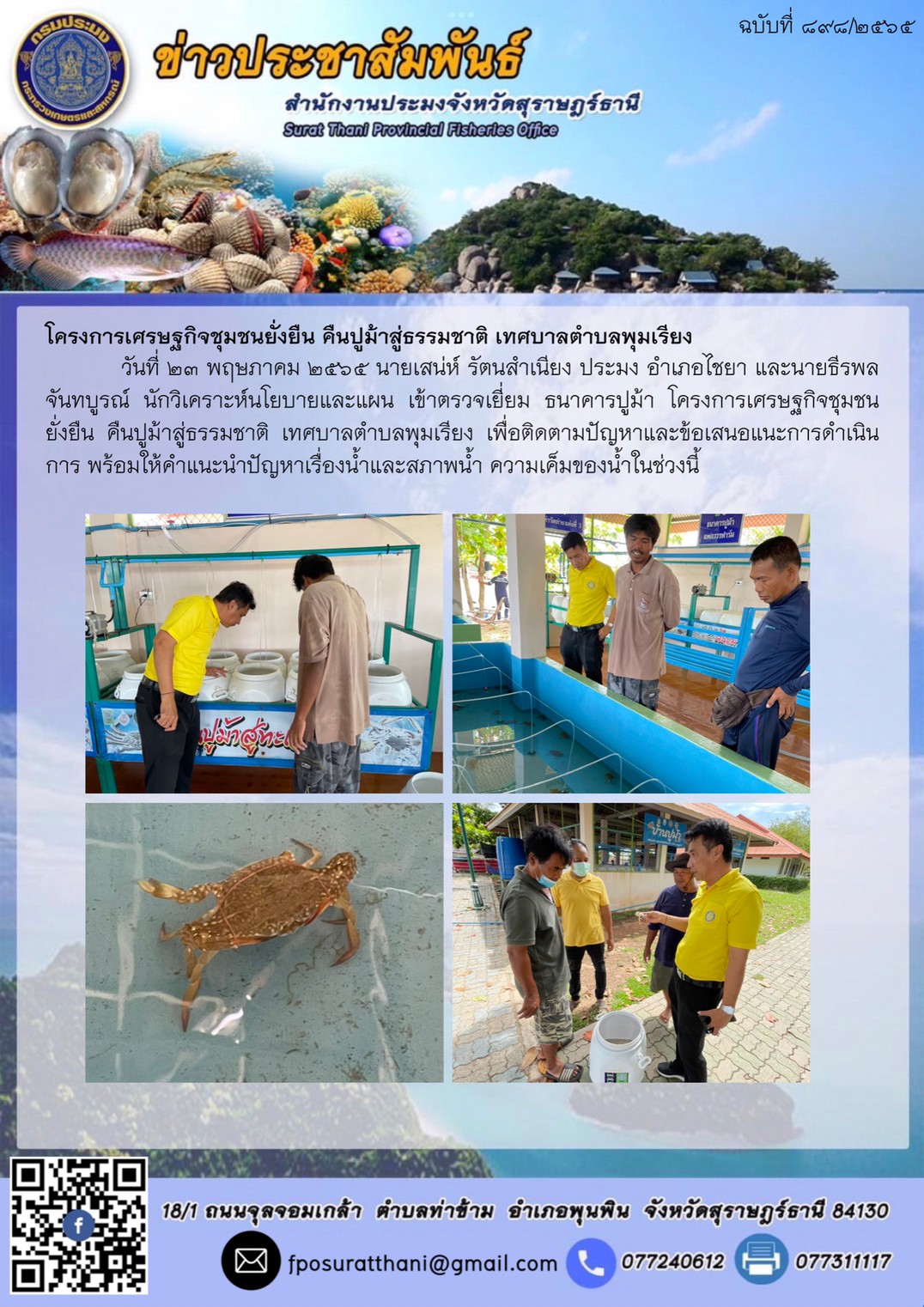 โครงการเศรษฐกิจชุมชนยั่งยืน คืนปูม้าสู่ธรรมชาติ เทศบาลตำบลพุมเรียง
