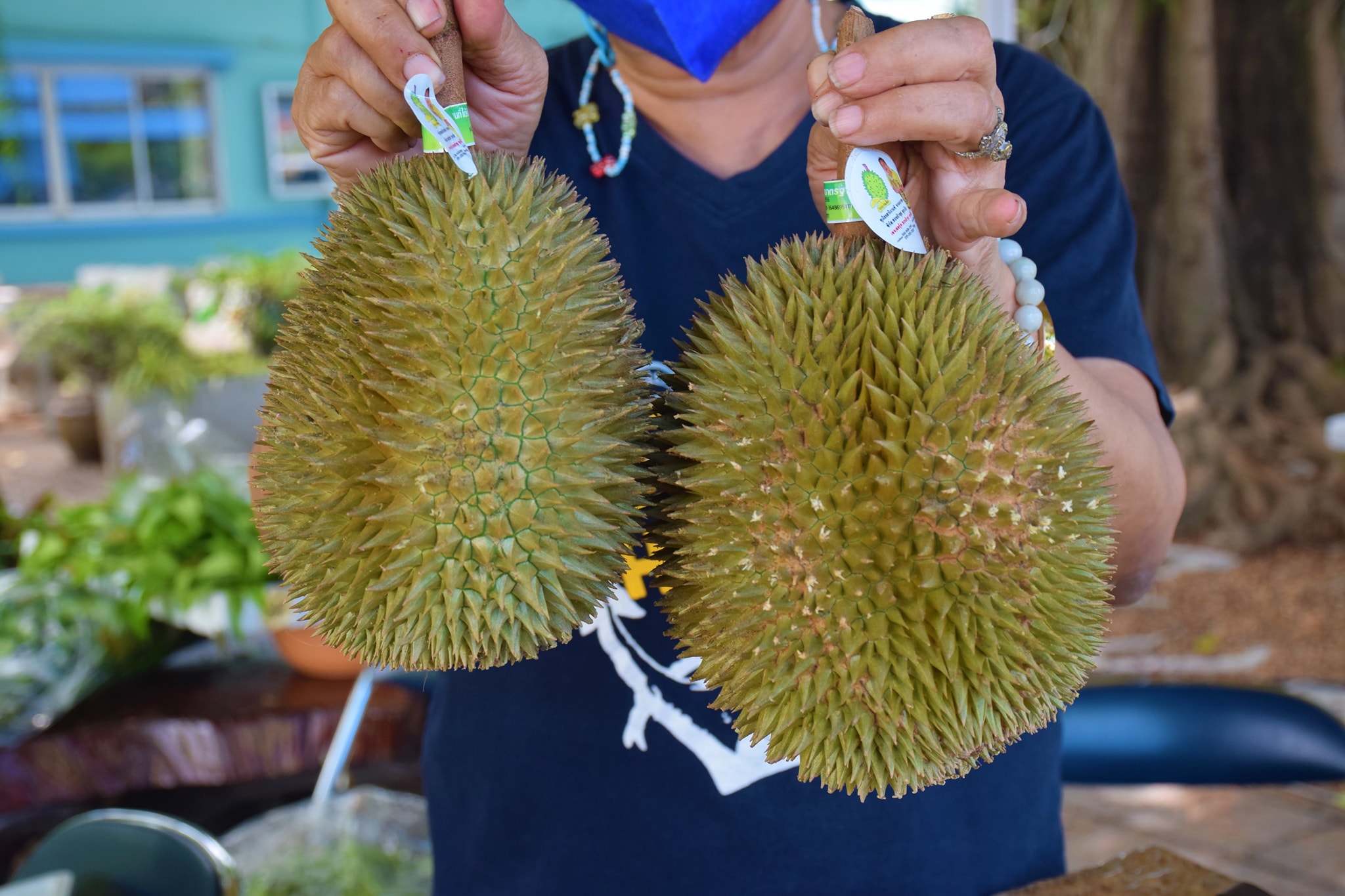 กรมประมงร่วมกับองค์การตลาดเพื่อเกษตรกร (อ.ต.ก.) จัดกิจกรรมกระจายสินค้าเกษตร 