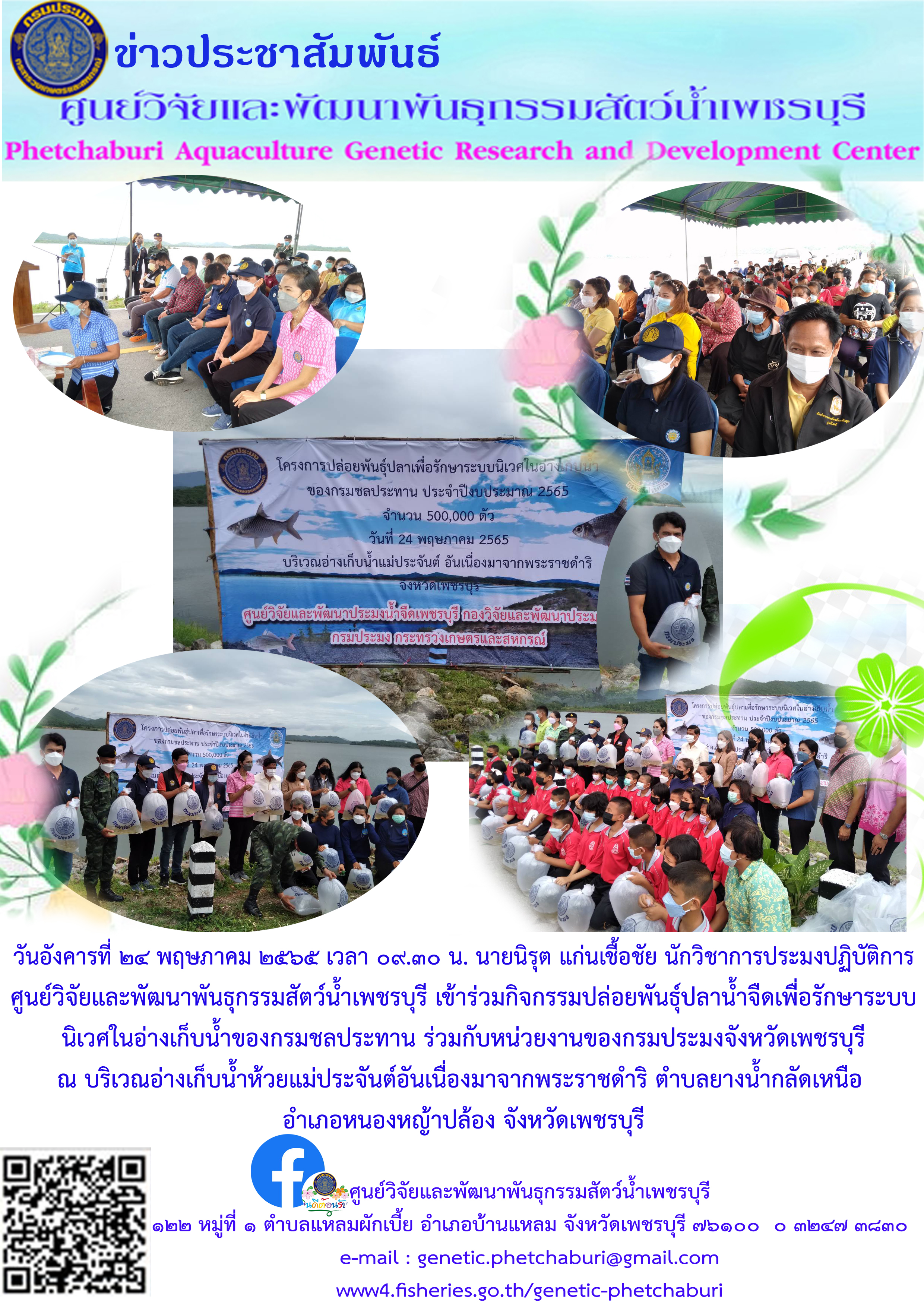 กิจกรรมปล่อยพันธุ์ปลาน้ำจืดเพื่อรักษาระบบนิเวศในอ่างเก็บน้ำของกรมชลประทาน ร่วมกับหน่วยงานของกรมประมงจังหวัดเพชรบุรี..คลิก