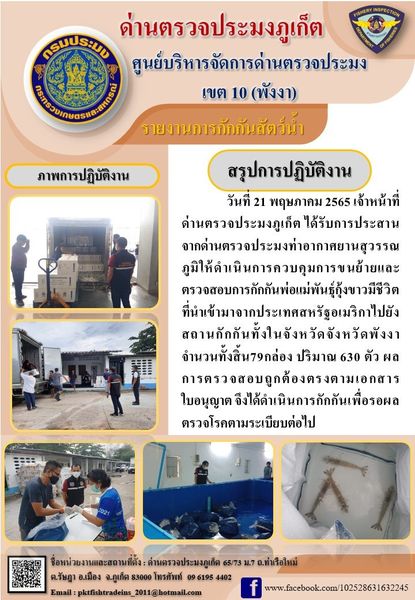 วันที่ 21 พฤษภาคม 2565 เจ้าหน้าที่ด่านตรวจประมงภูเก็ต ได้รับการประสานจากด่านตรวจประมงท่าอากาศยานสุวรรณภูมิให้ดำเนินการควบคุมการขนย้ายและตรวจสอบการกักกันพ่อแม่พันธุ์กุ้งขาวมีชีวิตที่นำเข้ามาจากประเทศสหรัฐอเมริกาไปยังสถานกักกันทั้งในจังหวัดจังหวัดพังงา จำนวนทั้งสิ้น79กล่อง ปริมาณ 630 ตัว ผลการตรวจสอบถูกต้องตรงตามเอกสารใบอนุญาต จึงได้ดำเนินการกักกันเพื่อรอผลตรวจโรคตามระเบียบต่อไป..คลิก