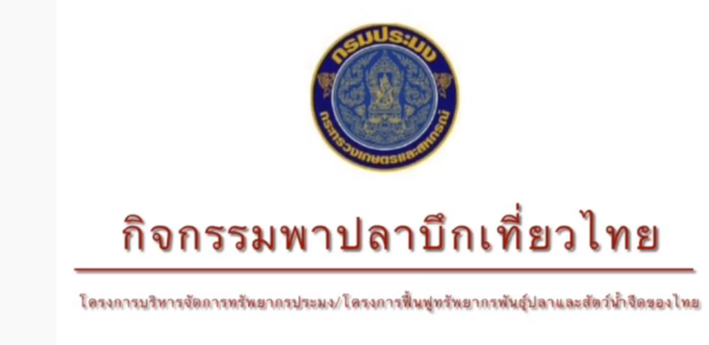 การเพาะพันธุ์ปลาบึกของศูนย์วิจัยและการเพาะเลี้ยงสัตว์น้ำจืดเชียงราย