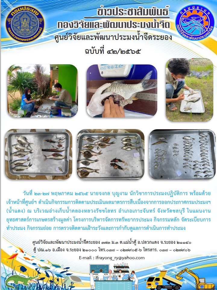 ข่าวประชาสัมพันธ์กิจกรรมฉบับที่ 42/2565..คลิก