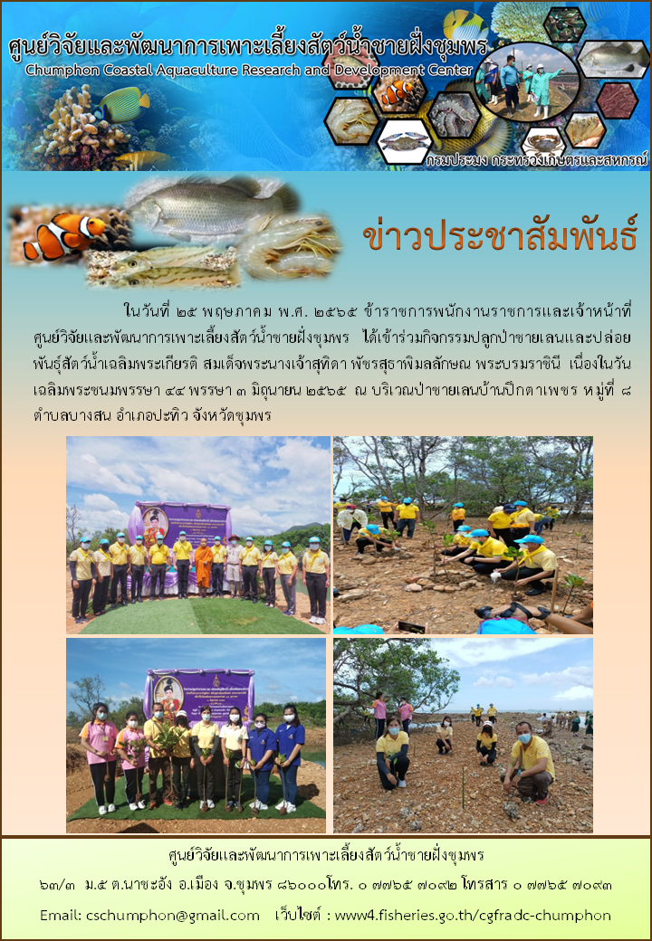กิจกรรมปลูกป่าชายเลนและปล่อยพันธุ์สัตว์น้ำเฉลิมพระเกียรติ สมเด็จพระนางเจ้าสุทิดา พัชรสุธาพิมลลักษณ พระบรมราชินี  เนื่องในวันเฉลิมพระชนมพรรษา 44 พรรษา 3 มิถุนายน 2565..คลิก