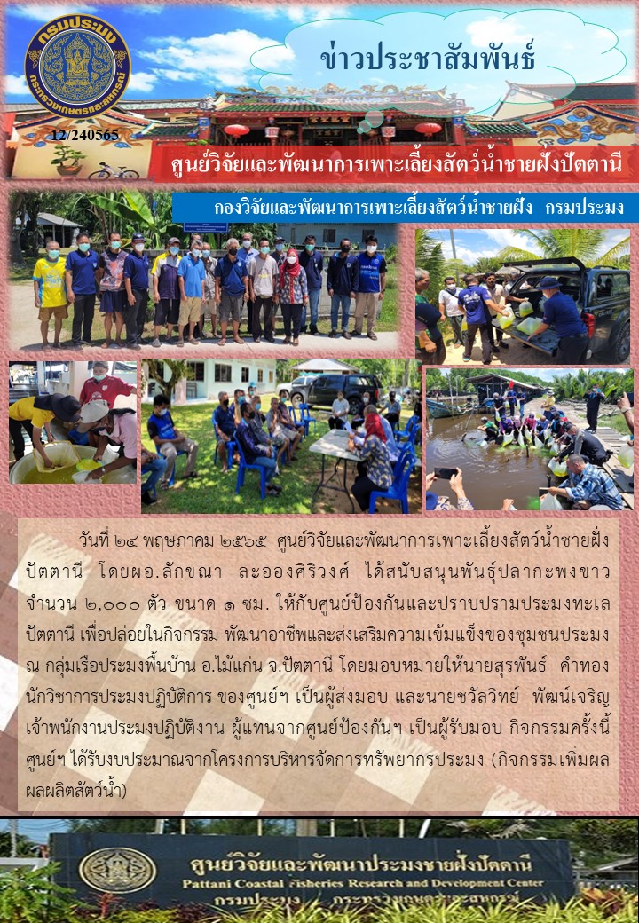 สนับสนุนพันธุ์ปลากะพงขาวจำนวน 2,000 ตัว เพื่อปล่อยในกิจกรรมพัฒนาอาชีพและส่งเสริมความเข้มแข็งของชุมชนประมงพื้นบ้าน อ.ไม้แก่น จ.ปัตตานี..คลิก