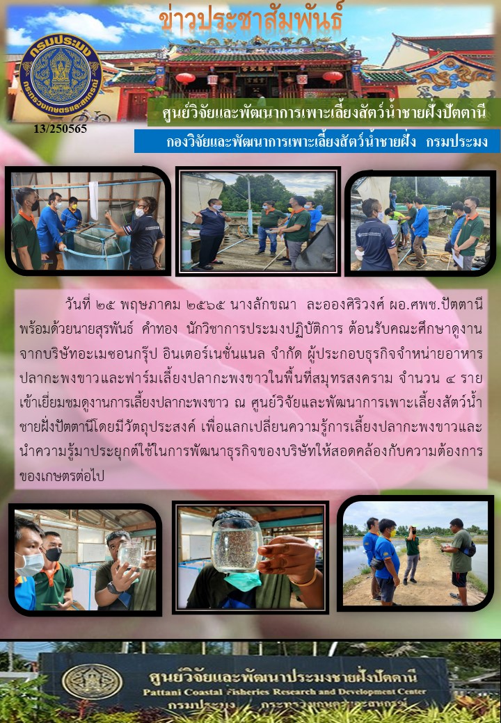 บริษัทอะแมซอน กรุ๊ป อินเตอร์เนชั่นแนล จำกัด  เข้าดูงานและแลกเปลี่ยนความรู้การเลี้ยงปลากะพงขาว..คลิก