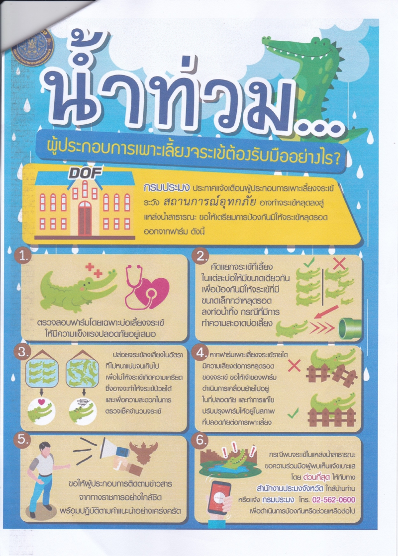 น้ำท่วม ผู้ประกอบการจระเข้ต้องรับมืออย่างไร..คลิก