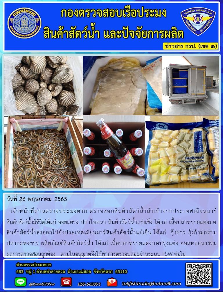 วันที่ 26 พฤษภาคม 2565   เจ้าหน้าที่ด่านตรวจประมงตาก ตรวจสอบสินค้าสัตว์น้ำนำเข้าจากประเทศเมียนมาร์                   สินค้าสัตว์น้ำมีชีวิตได้แก่ หอยแครง ปลาไหลนา สินค้าสัตว์น้ำแช่แข็ง ได้แก่ เนื้อปลาทรายแดงบด      สินค้าสัตว์น้ำส่งออกไปยังประเทศเมียนมาร์สินค้าสัตว์น้ำแช่เย็น ได้แก่  กุ้งขาว กุ้งก้ามกราม             ปลากะพงขาว ผลิตภัณฑ์สินค้าสัตว์น้ำ ได้แก่ เนื้อปลาทรายแดงบดปรุงแต่ง ซอสหอยนางรม              ผลการตรวจสอบถูกต้อง   ตามใบอนุญาตจึงได้ทำการตรวจปล่อยผ่านระบบ FSW ต่อไป..คลิก