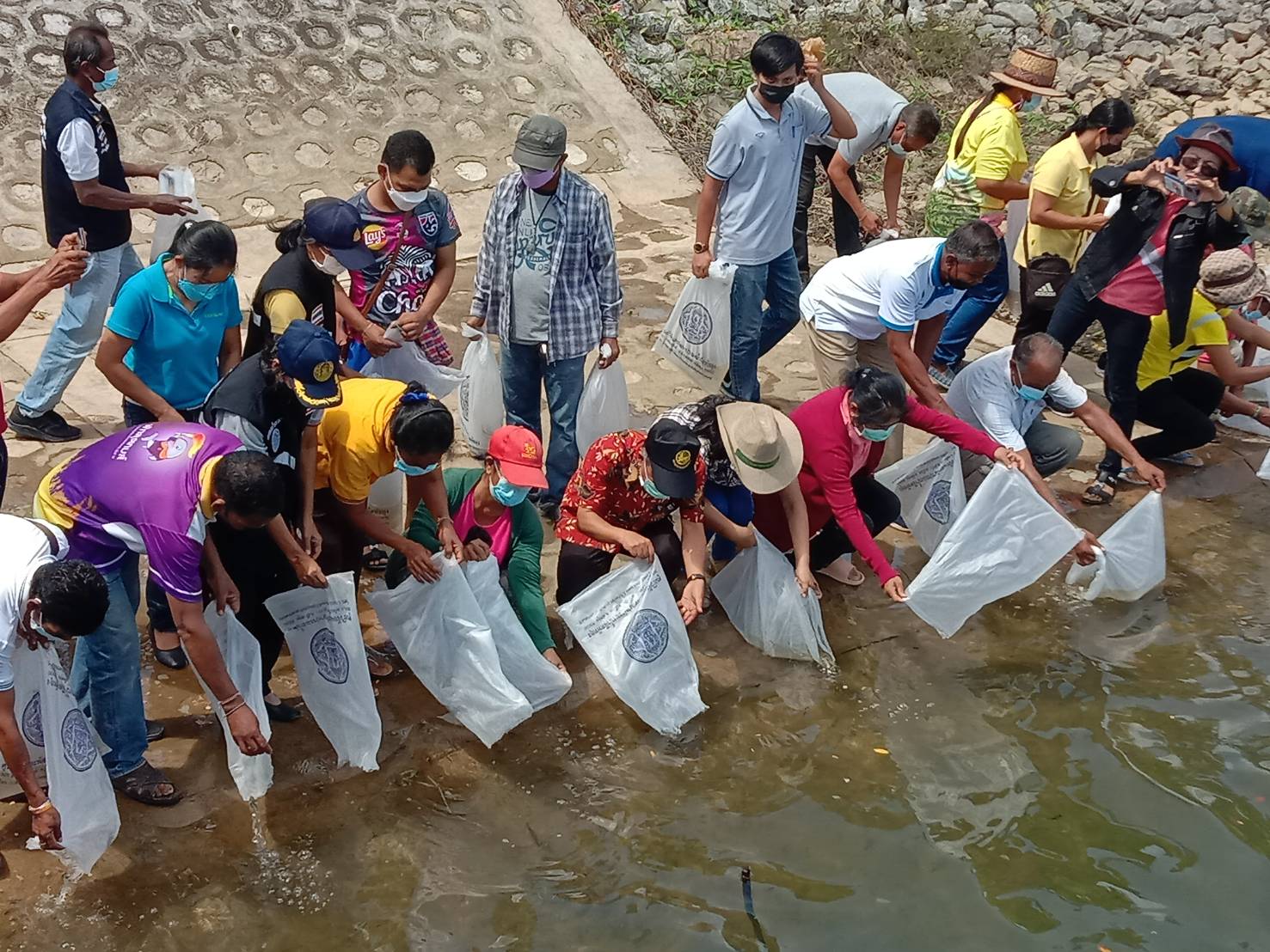 สำนักงานประมงจังหวัดพัทลุง ร่วมปล่อยพันธุ์สัตว์น้ำเพื่อเพิ่มผลผลิตสัตว์น้ำในแหล่งน้ำธรรมชาติพื้นที่อำเภอศรีบรรพต