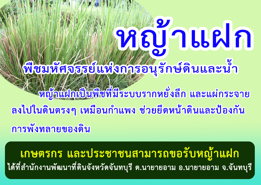 การขอรับหญ้าแฝกเพื่อนำไปปลูกในพื้นที่การเกษตร และแหล่งน้ำรวมถึงพื้นที่ลาดชัน