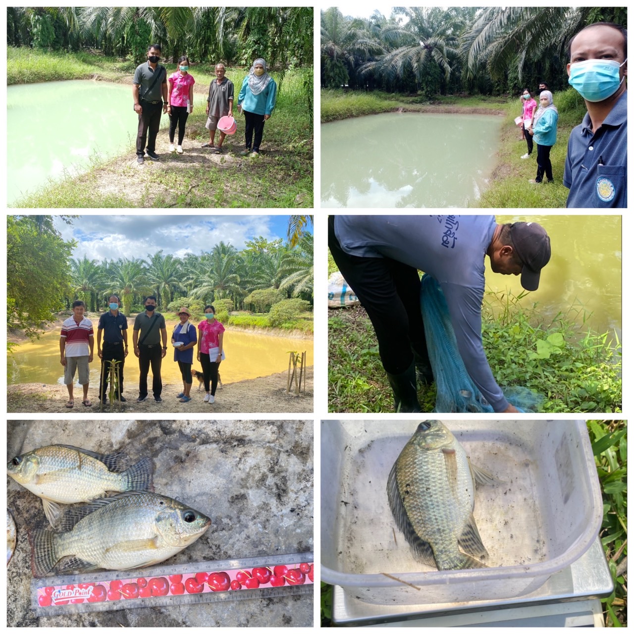 กิจกรรมส่งเสริมเกษตรทฤษฎีใหม่ด้านการประมง ปีงบประมาณ 2565..คลิก