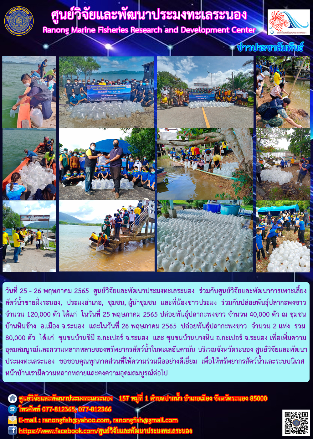 ศพท.ระนอง ร่วมกับศพช.ระนอง และผู้นำชุมชน ชาวบ้านในชุมชน และชาวประมง ร่วมปล่อยพันธุ์ปลากะพงขาว ในพื้นที่จังหวัดระนอง