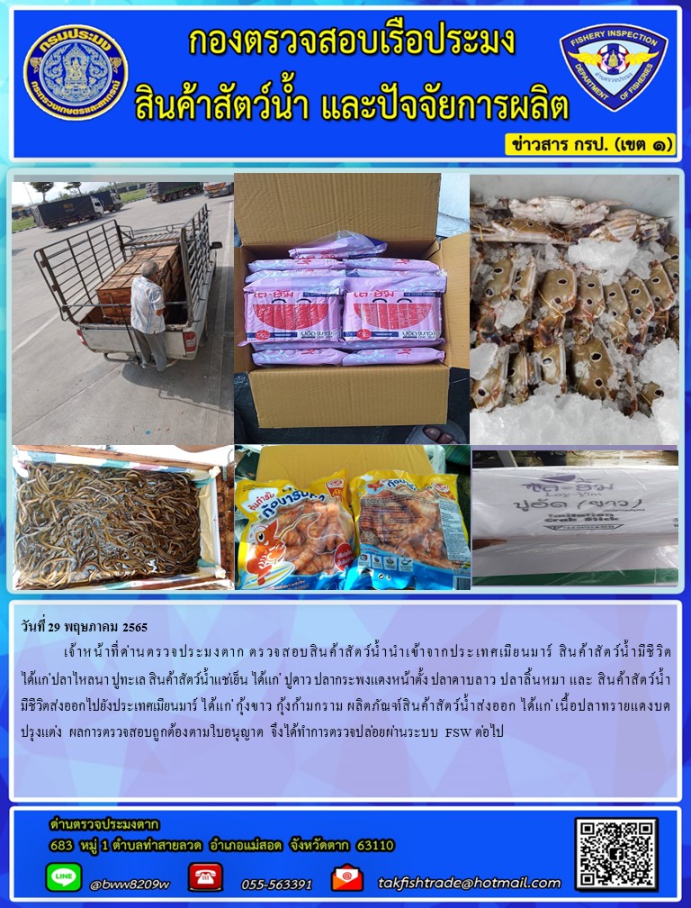 วันที่ 29 พฤษภาคม 2565  	เจ้าหน้าที่ด่านตรวจประมงตาก ตรวจสอบสินค้าสัตว์น้ำนำเข้าจากประเทศเมียนมาร์ สินค้าสัตว์น้ำมีชีวิต ได้แก่ ปลาไหลนา ปูทะเล สินค้าสัตว์น้ำแช่เย็น ได้แก่  ปูดาว ปลากระพงแดงหน้าตั้ง ปลาดาบลาว ปลาลิ้นหมา และ สินค้าสัตว์น้ำมีชีวิตส่งออกไปยังประเทศเมียนมาร์ ได้แก่ กุ้งขาว กุ้งก้ามกราม ผลิตภัณฑ์สินค้าสัตว์น้ำส่งออก ได้แก่ เนื้อปลาทรายแดงบดปรุงแต่ง  ผลการตรวจสอบถูกต้องตามใบอนุญาต จึงได้ทำการตรวจปล่อยผ่านระบบ FSW ต่อไป..คลิก