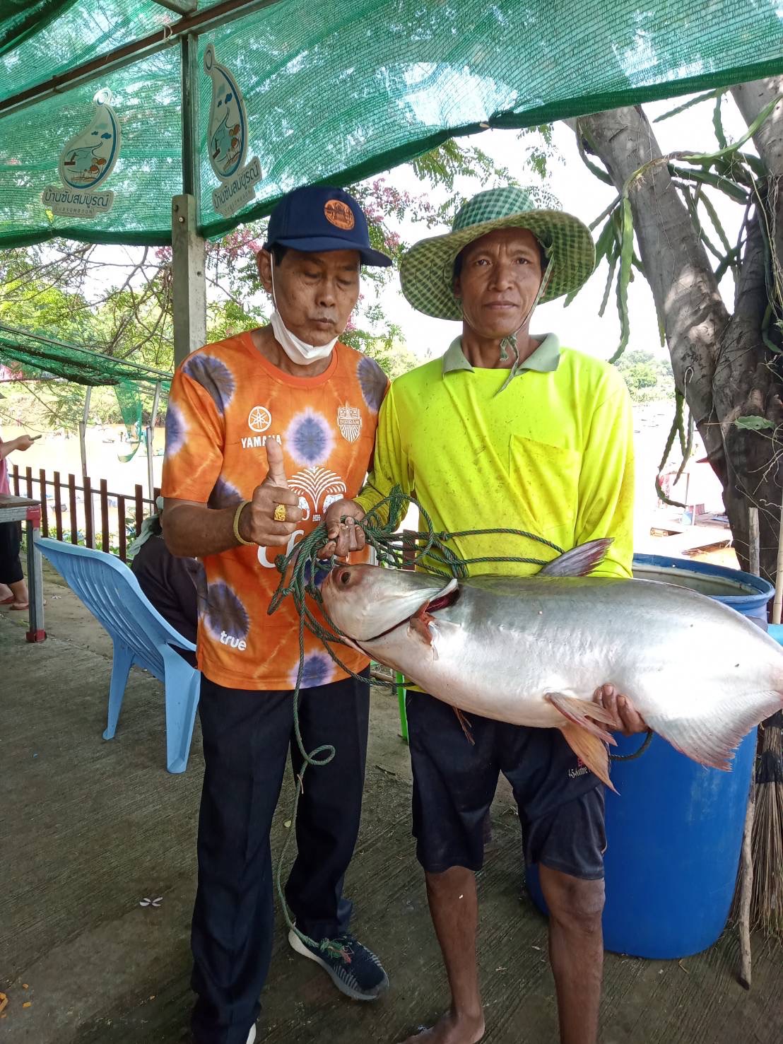 โครงการธนาคารผลผลิตสัตว์น้ำแบบมีส่วนร่วมแหล่งน้ำซับสมบูรณ์ ตำบลทุ่งจังหัน อำเภอโนนสุวรรณ จังหวัดบุรีรัมย์..คลิก