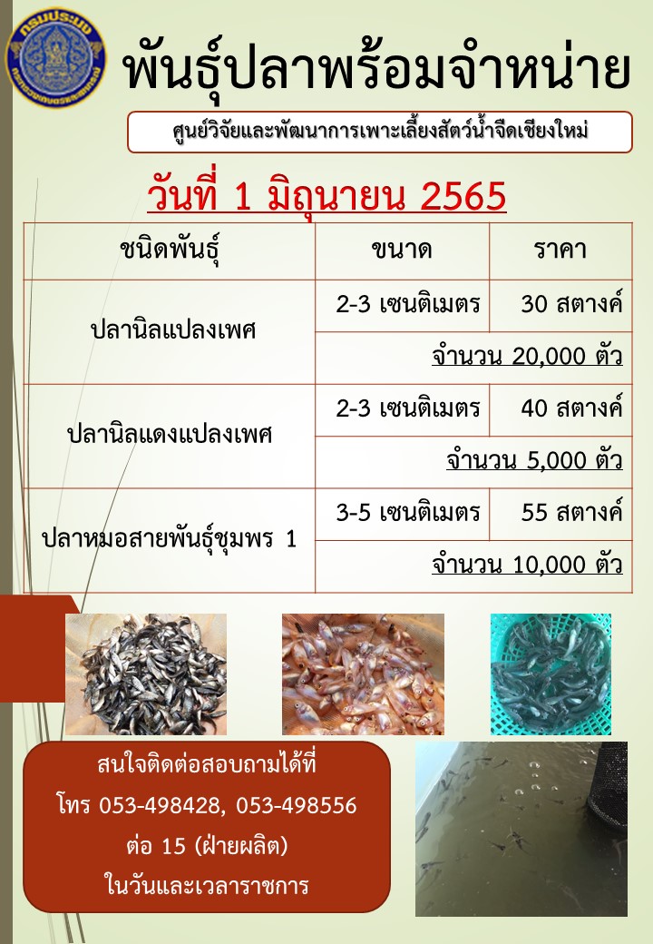 จำหน่ายพันธุ์ปลา วันที่ 1 มิถุนายน 2565..คลิก