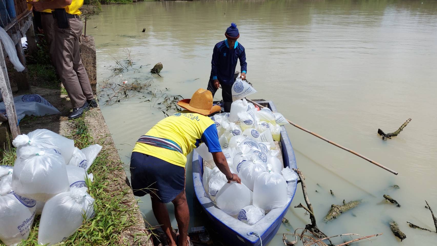 ประมงอำเภอปากพะยูน ร่วมกันพัฒนาปรับภูมิทัศน์บริเวณสะพาน ชะแล้ ร่วมปล่อยพันธุ์สัตว์น้ำและกุ้งก้ามกราม