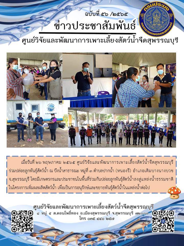ข่าวประชาสัมพันธ์ฉบับที่ 56 ประจำเดือนพฤษภาคม 2565..คลิก