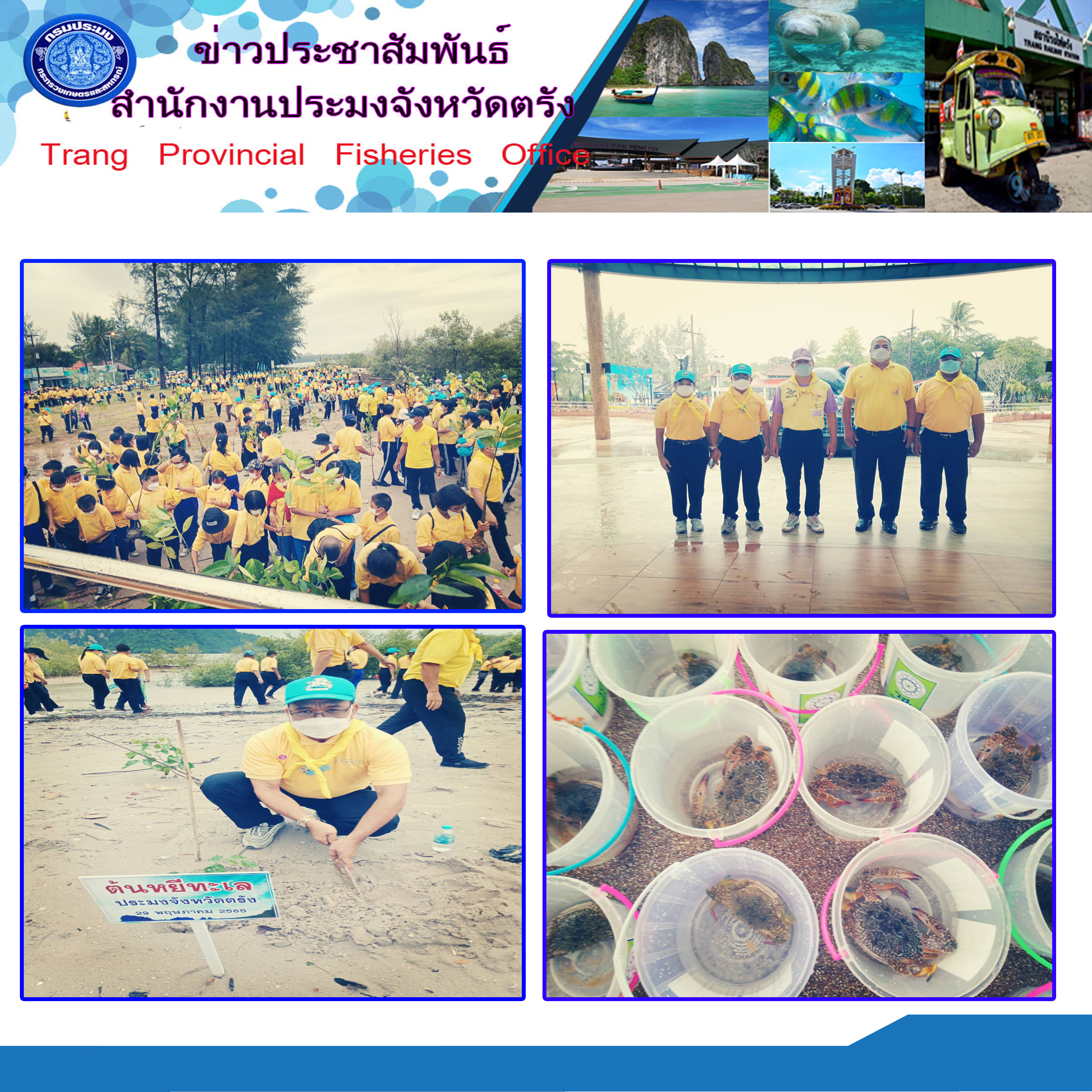 ร่วมงานจิตอาสารักษ์ป่าชายเลนหาดปากเมงเฉลิมพระเกียรติ
