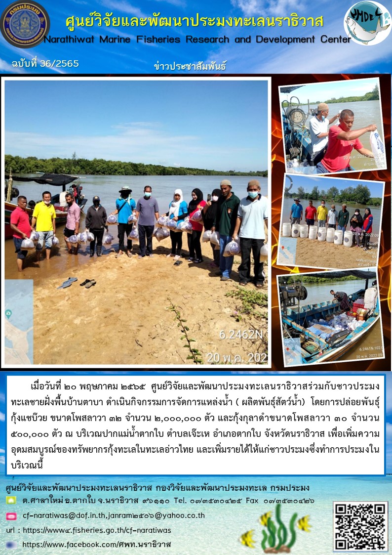 การปล่อยพันธุ์กุ้งทะเล กิจกรรมการจัดการแหล่งน้ำ ( ผลิตพันธุ์สัตว์น้ำ)