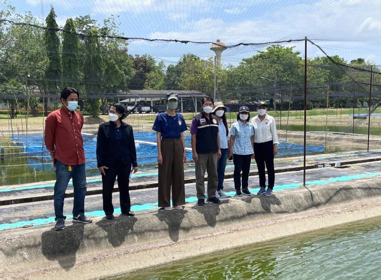 นายประพันธ์ ลีปายะคุณ รองอธิบดีกรมประมง ได้เดินทางมาร่วมประชุมที่ศูนย์วิจัยและพัฒนาประมงน้ำจืดเพชรบุรี ร่วมกับเจ้าหน้าที่ศูนย์ฯ เพื่อหารือในการเพิ่มกำลังผลิตพ่อแม่พันธุ์กุ้งก้ามกรามสายพันธุ์ Macro1