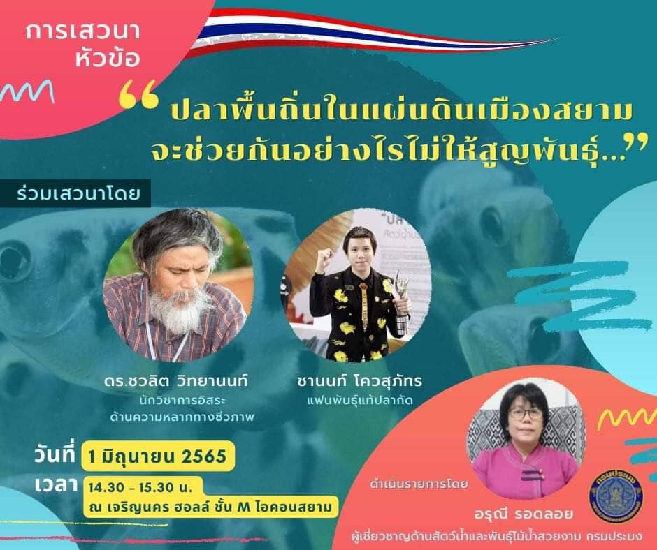 ปลาพื้นเมืองของไทย พันธุ์ไหนเด่น พันธุ์ไหนปัง พันธุ์ไหนจะเป็นที่ต้องการของตลาดปลาสวยงาม
