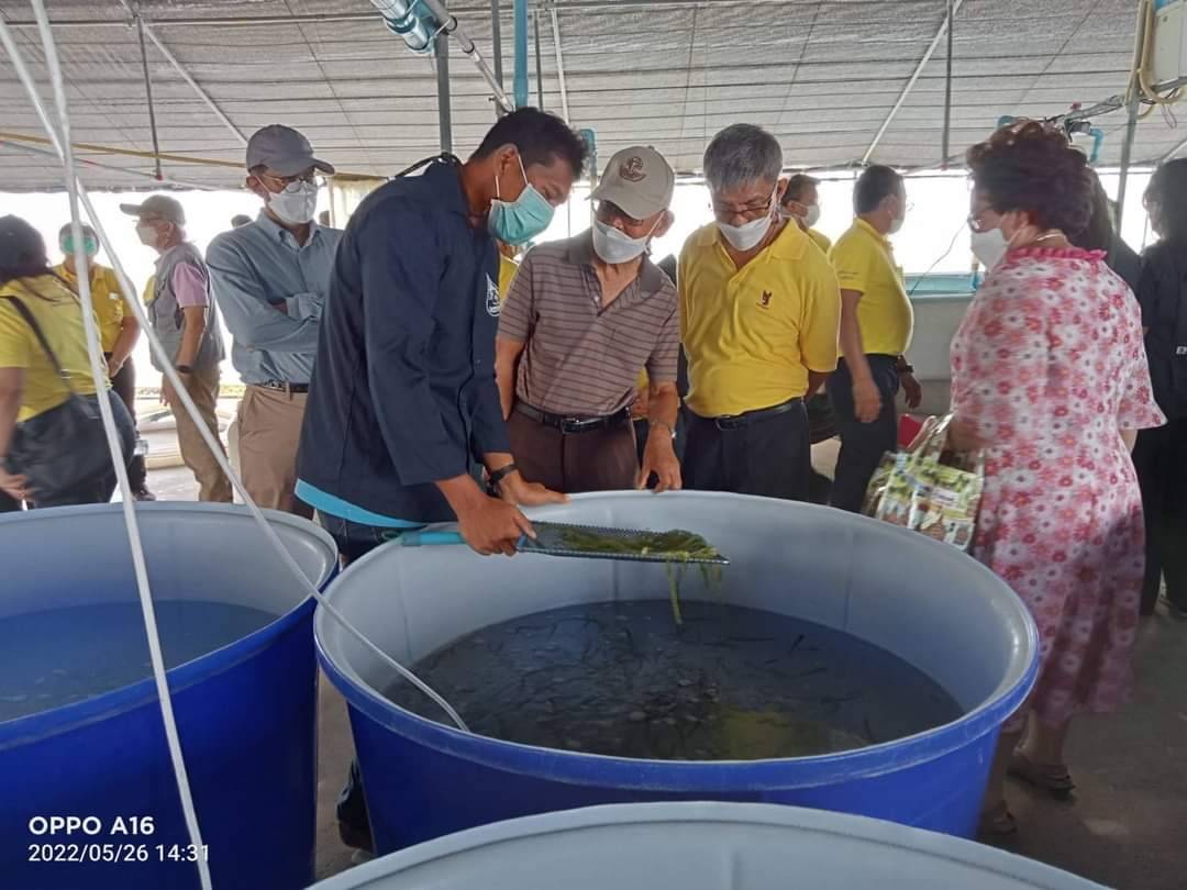ศพช.เพชรบุรี ต้อนรับคณะอาจารย์อาวุโสจากมหาวิทยาลัยเกษตรศาสตร์และอาจารย์นักวิจัยอาวุโสของโครงการศึกษาวิจัยและพัฒนาสิ่งแวดล้อมแหลมผักเบี้ย อันเนื่องมาจากพระราชดำริ ตำบลแหลมผักเบี้ย อำเภอบ้านแหลม จังหวัดเพชรบุรี เข้าศึกษาดูงานด้านประมงและเยี่ยมชมฟาร์มทะเลตัวอย่างในสมเด็จพระนางเจ้าสิริกิติ์ พระบรมราชินีนาถ จังหวัดเพชรบุรี