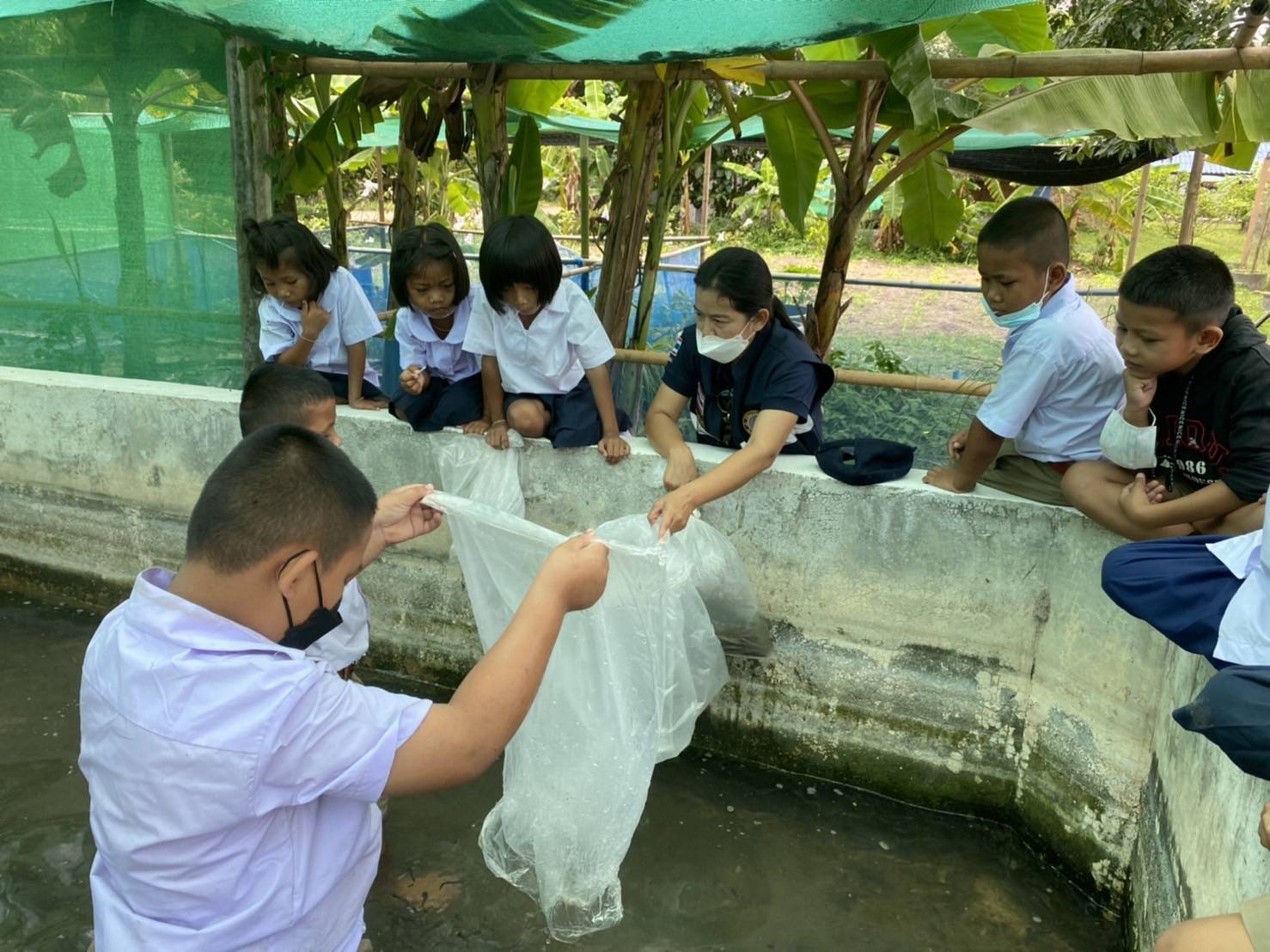 ประมงอำเภอน้ำยืน ตรวจติดตามโครงการเกษตรเพื่ออาหารกลางวัน ศูนย์การเรียนรู้โรงเรียนตำรวจตระเวนชายแดนบ้านหนองบัวพัฒนา อ.น้ำยืน..คลิก