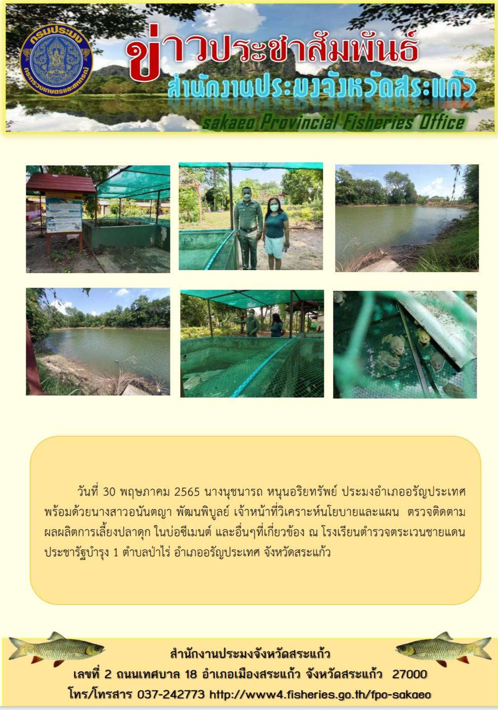 ตรวจติดตามผลผลิตการเลี้ยงปลาดุกในบ่อซีเมนต์..คลิก