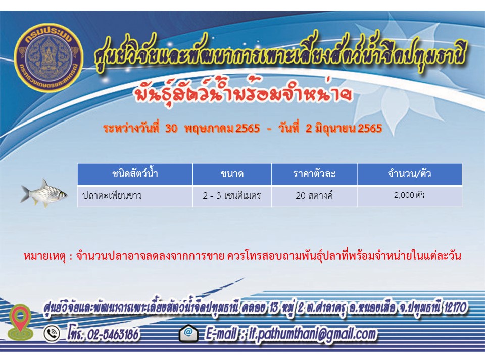 พันธุ์สัตว์น้ำพร้อมจำหน่าย..คลิก