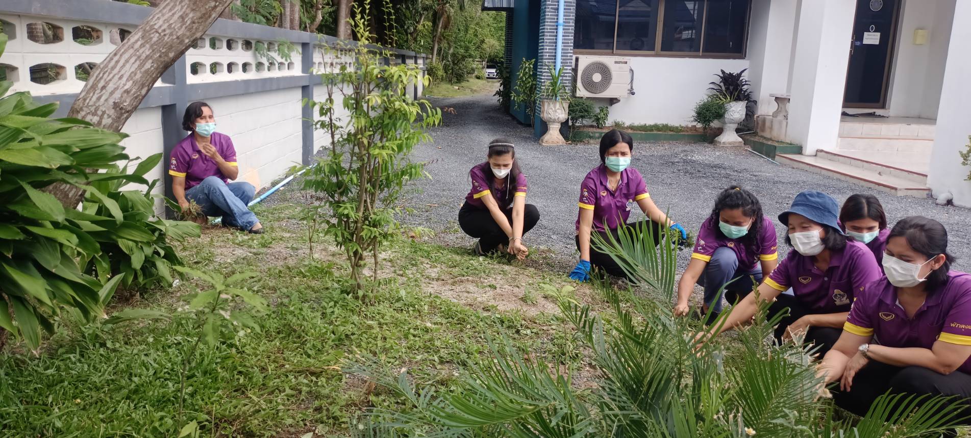 สำนักงานประมงจังหวัดพัทลุง นำข้าราชการ พนักงานราชการ และลูกจ้างประจำ ร่วมพัฒนาปรับภูมิทัศน์บริเวณสำนักงานประมงจังหวัดพัทลุง..คลิก