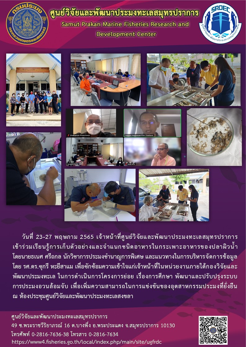 เจ้าหน้าที่ศูนย์วิจัยและพัฒนาประมงทะเลสมุทรปราการ เข้าร่วมเรียนรู้การเก็บตัวอย่างและจำแนกชนิดอาหารในกระเพาะอาหารของปลาผิวน้ำ..คลิก