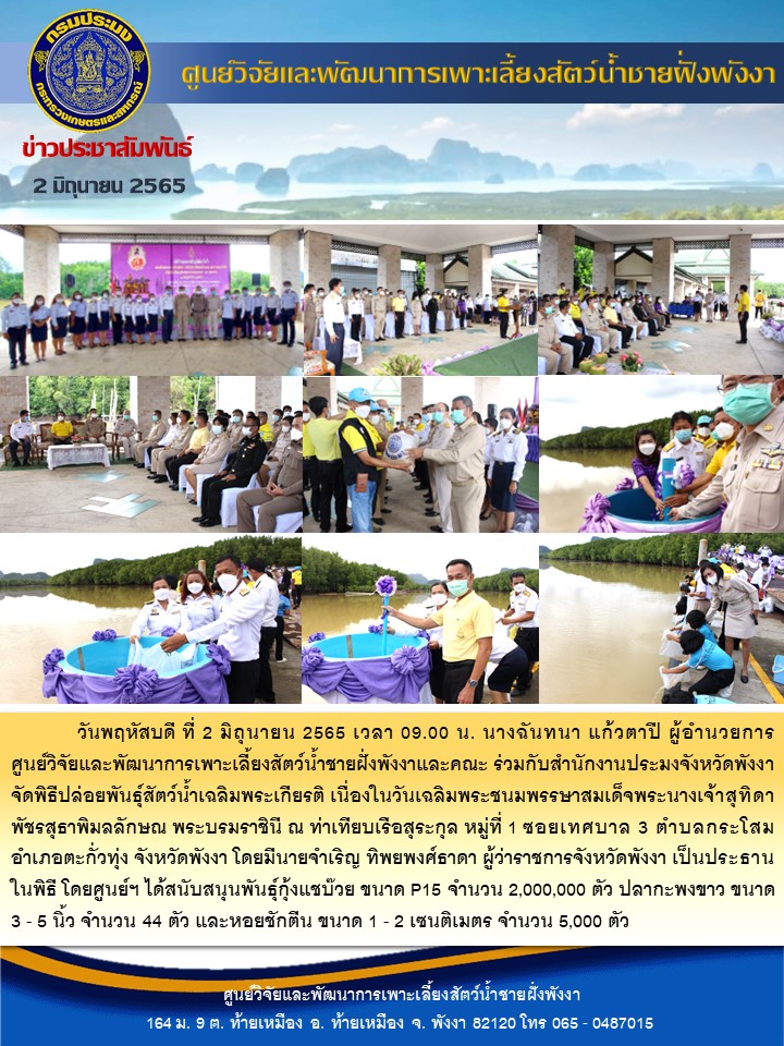 วันพฤหัสบดี ที่ 2 มิถุนายน 2565 เวลา 09.00 น. นางฉันทนา แก้วตาปี ผู้อำนวยการศูนย์วิจัยและพัฒนาการเพาะเลี้ยงสัตว์น้ำชายฝั่งพังงาและคณะ ร่วมกับสำนักงานประมงจังหวัดพังงา จัดพิธีปล่อยพันธุ์สัตว์น้ำเฉลิมพระเกียรติ เนื่องในวันเฉลิมพระชนมพรรษาสมเด็จพระนางเจ้าสุทิดา พัชรสุธาพิมลลักษณ พระบรมราชินี ณ ท่าเทียบเรือสุระกุล หมู่ที่ 1 ซอยเทศบาล 3 ตำบลกระโสม อำเภอตะกั่วทุ่ง จังหวัดพังงา โดยมีนายจำเริญ ทิพยพงศ์ธาดา ผู้ว่าราชการจังหวัดพังงา เป็นประธานในพิธี โดยศูนย์ฯ ได้สนับสนุนพันธุ์กุ้งแชบ๊วย ขนาด P15 จำนวน 2,000,000 ตัว ปลากะพงขาว ขนาด 3 - 5 นิ้ว จำนวน 44 ตัว และหอยชักตีน ขนาด 1 - 2 เซนติเมตร จำนวน 5,000 ตัว..คลิก