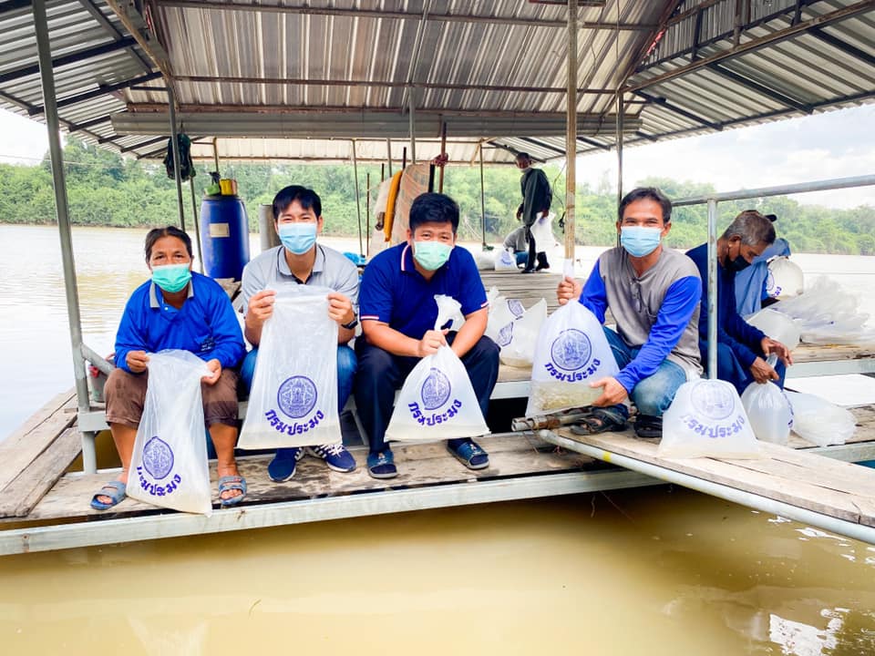 ข่าวประชาสัมพันธ์ประจำวันที่ 31 พฤษภาคม 2565 ศูนย์วิจัยและพัฒนาการเพาะเลี้ยงสัตว์น้ำจืดศรีสะเกษ ปักษ์หลัง ฉบับที่ 87