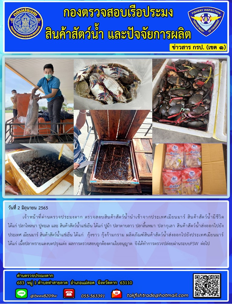วันที่ 2 มิถุนายน 2565  	เจ้าหน้าที่ด่านตรวจประมงตาก ตรวจสอบสินค้าสัตว์น้ำนำเข้าจากประเทศเมียนมาร์ สินค้าสัตว์น้ำมีชีวิต ได้แก่ ปลาไหลนา ปูทะเล และ สินค้าสัตว์น้ำแช่เย็น ได้แก่ ปูม้า ปลาดาบลาว ปลาลิ้นหมา ปลากุเลา สินค้าสัตว์น้ำส่งออกไปยังประเทศ เมียนมาร์ สินค้าสัตว์น้ำแช่เย็น ได้แก่  กุ้งขาว กุ้งก้ามกราม ผลิตภัณฑ์สินค้าสัตว์น้ำส่งออกไปยังประเทศเมียนมาร์ ได้แก่ เนื้อปลาทรายแดงบดปรุงแต่ง ผลการตรวจสอบถูกต้องตามใบอนุญาต จึงได้ทำการตรวจปล่อยผ่านระบบFSW ต่อไป..คลิก