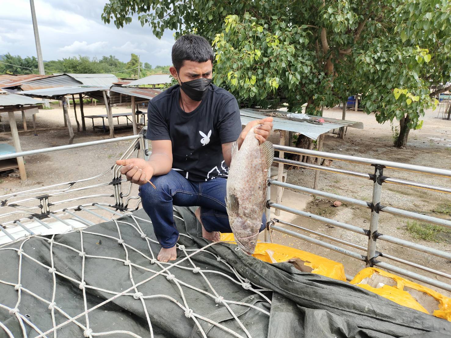 วันที่ 2 มิถุนายน 2565 นายสมพงษ์ คำพล หัวหน้าด่านตรวจประมงกาญจนบุรี มอบหมายให้ เจ้าหน้าที่ด่านตรวจประมงกาญจนบุรี ตรวจสอบสินค้าสัตว์น้ำและเอกสารการนำเข้าสินค้าสัตว์น้ำ อาทิเช่น ปลาเก๋าแช่เย็น ปูม้าแช่เย็น เป็นต้น ผ่านทางช่องทางจุดผ่อนปรนทางการค้าด่านพระเจดีย์สามองค์..คลิก