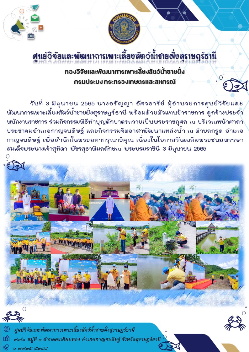 กิจกรรมพิธีทำบุญตักบาตรถวายเป็นพระราชกุศล ณ บริเวณหน้าศาลาประชาคมอำเภอกาญจนดิษฐ์ และกิจกรรมจิตอาสาพัฒนาแหล่งน้ำ ณ ตำบลกรูด อำเภอกาญจนดิษฐ์ เพื่อสำนึกในพระมหากรุณาธิคุณ เนื่องในโอกาสวันเฉลิมพระชนมพรรษา สมเด็จพระนางเจ้าสุทิดา พัชรสุธาพิมลลักษณ พระบรมราชินี 3 มิถุนายน 2565..คลิก