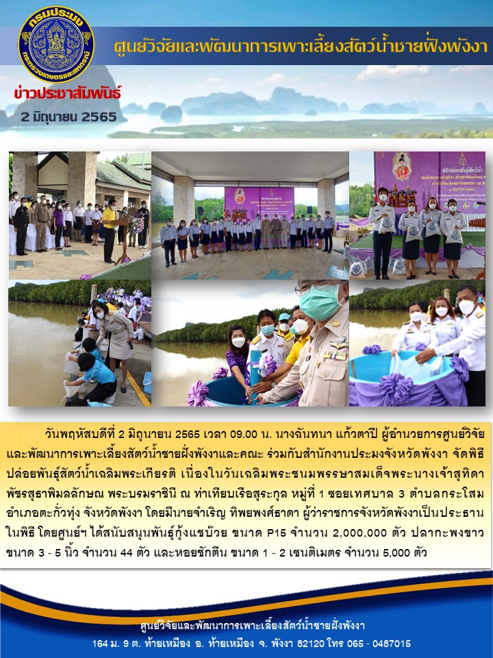 วันพฤหัสบดีที่ 2 มิถุนายน 2565 เวลา 09.00 น. นางฉันทนา แก้วตาปี ผู้อำนวยการศูนย์วิจัยและพัฒนาการเพาะเลี้ยงสัตว์น้ำชายฝั่งพังงาและคณะ ร่วมกับสำนักงานประมงจังหวัดพังงา จัดพิธีปล่อยพันธุ์สัตว์น้ำเฉลิมพระเกียรติ เนื่องในวันเฉลิมพระชนมพรรษาสมเด็จพระนางเจ้าสุทิดา    พัชรสุธาพิมลลักษณ พระบรมราชินี ณ ท่าเทียบเรือสุระกุล หมู่ที่ 1 ซอยเทศบาล 3 ตำบลกระโสม อำเภอตะกั่วทุ่ง จังหวัดพังงา โดยมีนายจำเริญ ทิพยพงศ์ธาดา ผู้ว่าราชการจังหวัดพังงาเป็นประธานในพิธี โดยศูนย์ฯ ได้สนับสนุนพันธุ์กุ้งแชบ๊วย ขนาด P15 จำนวน 2,000,000 ตัว ปลากะพงขาว ขนาด 3 - 5 นิ้ว จำนวน 44 ตัว และหอยชักตีน ขนาด 1 - 2 เซนติเมตร จำนวน 5,000 ตัว..คลิก