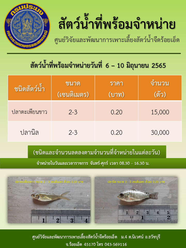 สัตว์น้ำที่มีพร้อมจำหน่าย วันที่ 6 - 10 มิถุนายน 2565..คลิก