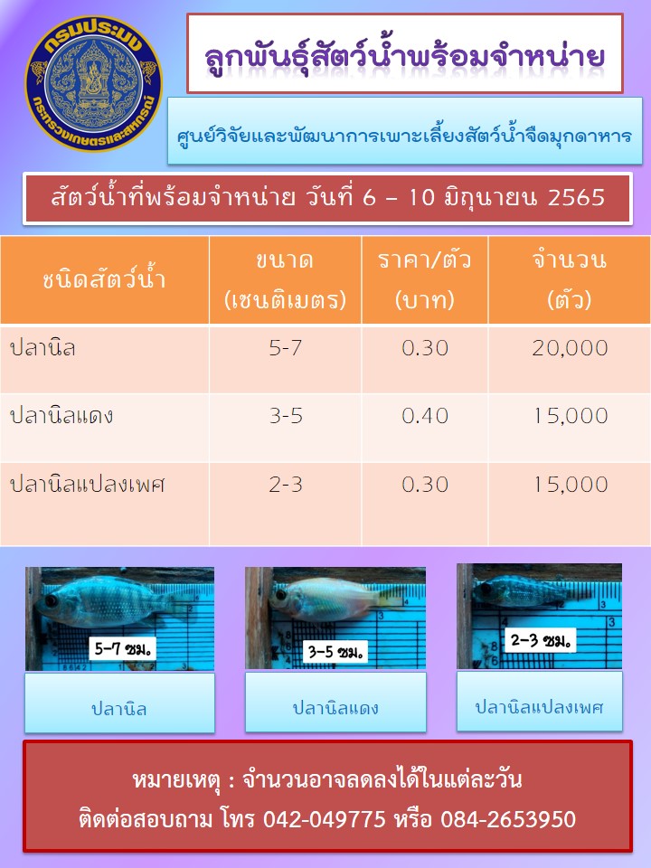 ลูกพันธุ์สัตว์น้ำพร้อมจำหน่าย