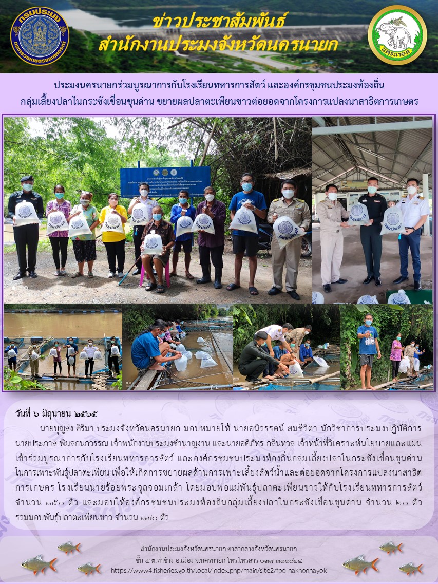 ประมงนครนายกร่วมบูรณาการกับโรงเรียนทหารการสัตว์ และองค์กรชุมชนประมงท้องถิ่นกลุ่มเลี้ยงปลาในกระชังเขื่อนขุนด่าน ขยายผลปลาตะเพียนขาวต่อยอดจากโครงการแปลงนาสาธิตการเกษตร..คลิก